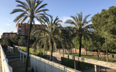 Storia 2: Ashley Caselli – Spagna