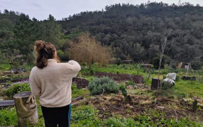 Storia 1 – Beatrice Pasquale – Portogallo