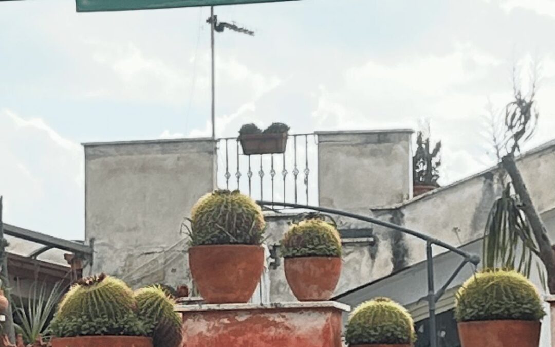 Story 1 – Itziar Etxeberria Ramos – Italy