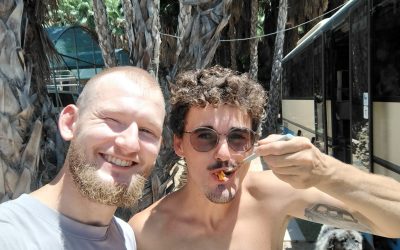 Story 1 – Alexander Hippler – Spain